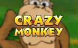 Crazy Monkey играть