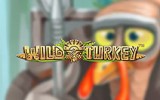 Wild Turkey бесплатно